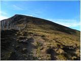 Weinebene - Großer Speikkogel (Golica / Koralpe)